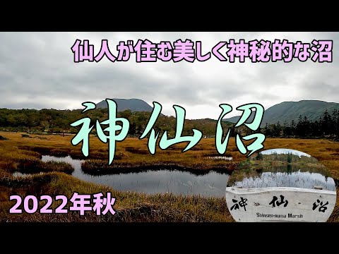 ニセコ山系中もっとも美しく神秘的な沼　「神仙沼」　2022年紅葉の秋　ニセコ高橋牧場でアイスクリーム