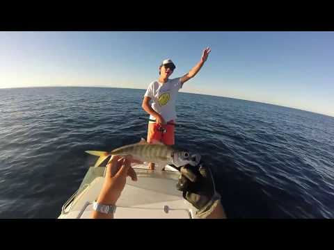 les sessions light- jigging en méditerranée