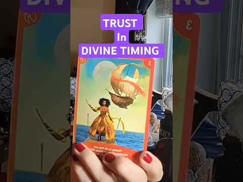 ANGEL MESSAGE 😇 TRUST in Divine Timing 😇 #angels #angelmessage #spirituality #messages