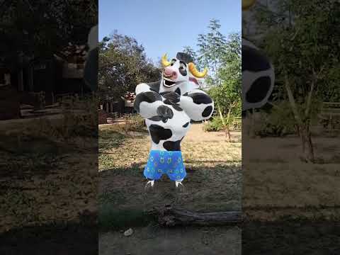 Funny cow dance video | funny cow song videos |