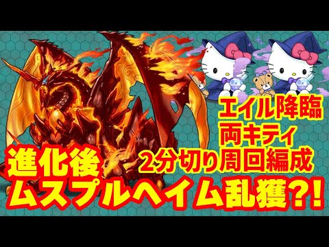 【パズドラ】ムスプルヘイム乱獲用 エイル降臨 両キティ周回編成