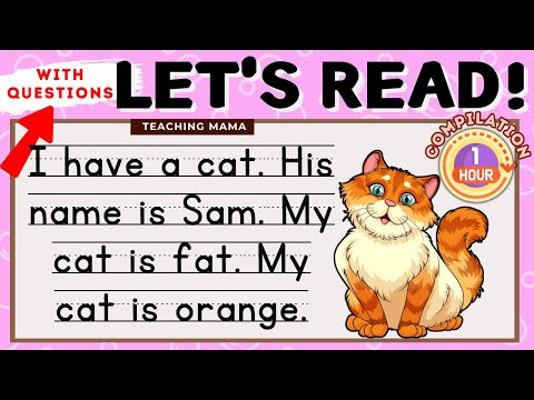 READING COMPREHENSION | READING COMPILATION VIDEO | 1 HOUR PRACTICE READING ENGLISH | TEACHING MAMA