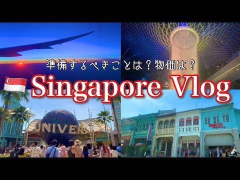 【旅行vlog】出発までにするべきこと✈️家族で楽しむシンガポール観光