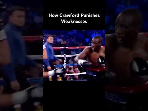 How Crawford Exploits Tells #boxingtechnique