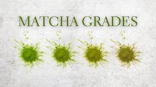 Matcha Grades Explained - Ceremonial Matcha vs Culinary Matcha