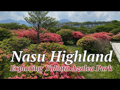 Nasu Highland: Exploring Yahata Azalea Park