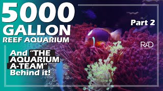 THE 5000 GALLON REEF AQUARIUM AND THE AQUARIUM A-TEAM THAT KEEP IT THRIVING. BY REEF AQUARIA DESIGN.