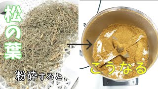 卓上粉砕機で松の葉を粉砕！乾燥の違いでどれだけ細かくなる？