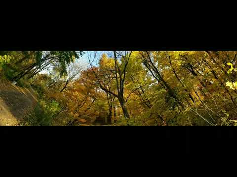 Panorama pictures: Escarpment Rail Trail - Đường mòn Escarpment, ON, Canada.