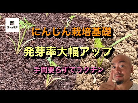 【豊かな農園14】露地にんじん 失敗なく発芽させる秘訣 これさえやればOK！