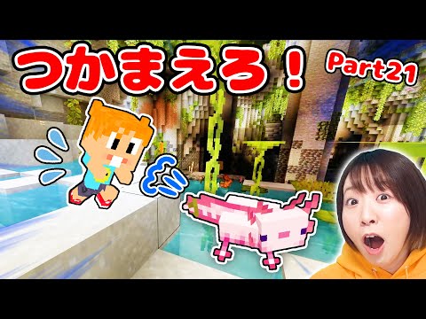 【マイクラ】超レア!?w ウーパールーパーをつかまえろ！！グロウベリーの洞窟を探検するぞ✨🫐⛏Part21【マインクラフト】【マイクラ統合版】【Minecraft】