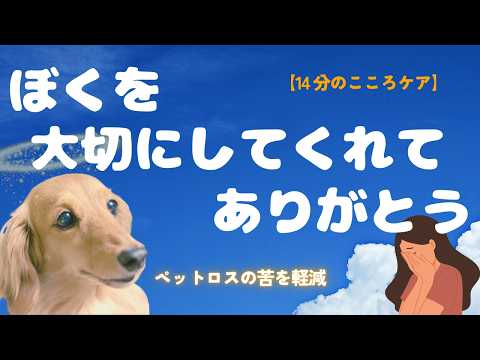 【涙が止まらない】ペットロスで辛い方。立ち直る唯一の方法とは！？あの子の為に出来ること…