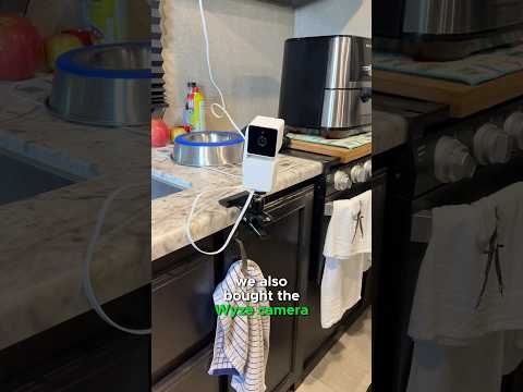 Pet Monitoring in your RV with a Motion Sensitive Camera & a Temperature Monitor