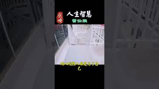 088  遠離不懂感恩的人 #語錄 #人生 #生活