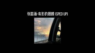 张韶涵-有形的翅膀(𝐬𝐩𝐞𝐝 𝐮𝐩) x1.2