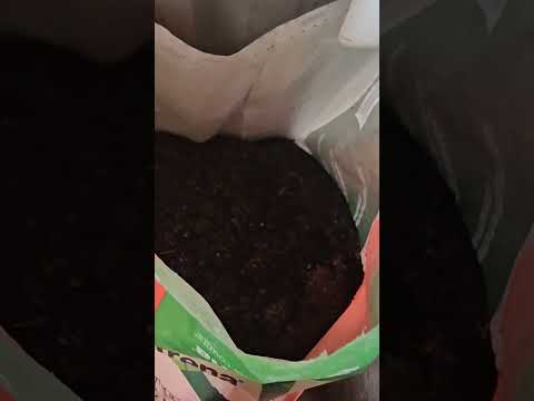 #screened #vermicomposting #redwigglers #farming #vermicompost #wormcastings #wormfarming