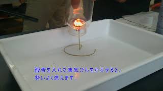 科学実験動画：スチールウールの燃焼