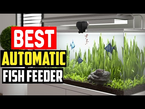 ✅Best Automatic Fish Feeder in 2023