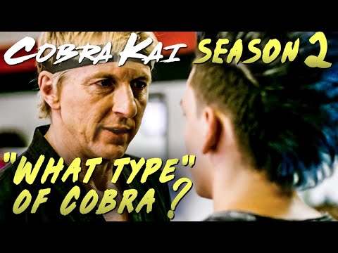 Cobra Kai Season 2 Sneak Peek Response + Breakdown "What type of Cobra ?"