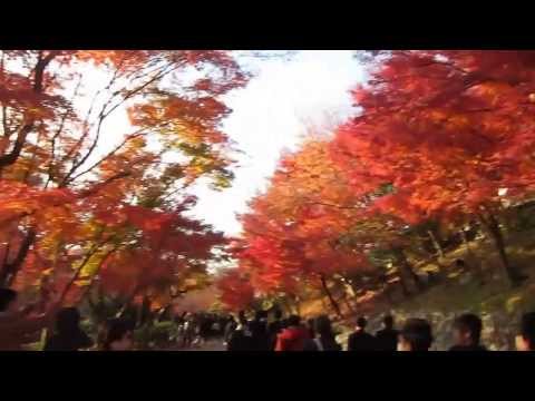 2013.12.3　京都の清水寺の紅葉