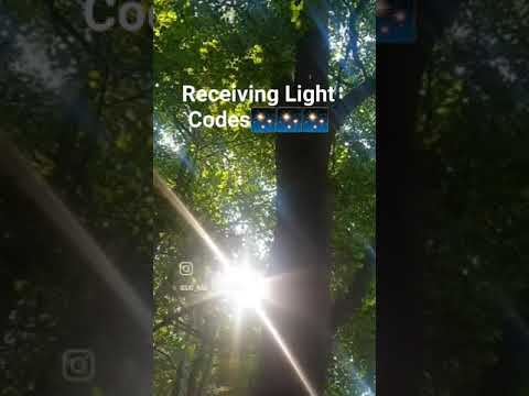 #Receiving #Light #Codes #lovingnature #forestbathing #nature #blessings #cleanse #grounded #love