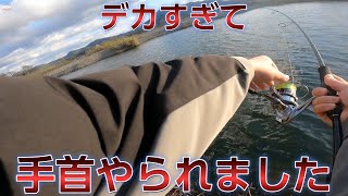 【冬のバス釣り】ジャバロン85+ジグヘッド1.8g＝？？？？