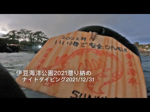 【伊豆ダイビング】伊豆海洋公園 大晦日 2021潜り納めナイトダイビング