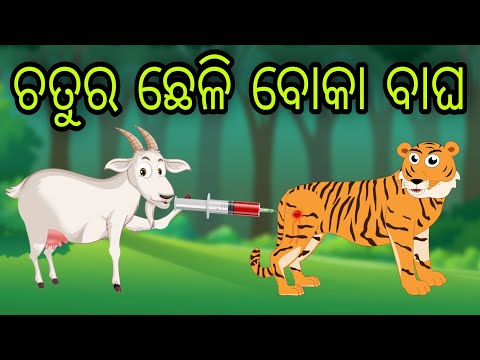 ବୋକା ବାଘ ଚାଲାକ ଛେଳି | Boka Bagha Chalak Chheli | Tiki Chadhei Gapa | Odia Chadhei Gapa | New Story