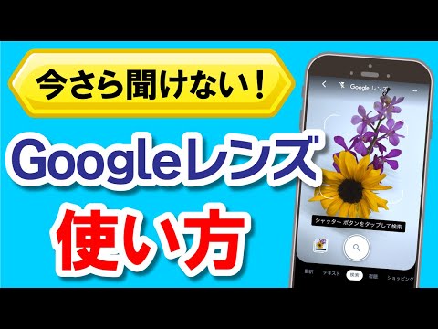 今さら聞けない！文字入力なしで誰でも簡単に調べもの！Googleレンズの活用法 AR