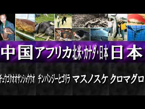 実は自分達も絶滅動物を食べていた件