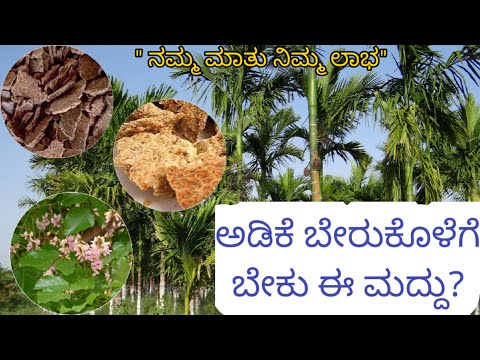 ಈ ಮೂರು ಹಿಂಡಿ ಇದ್ದರೆ ಗಿಡ ಮರಕ್ಕೆ ಮರುಜೀವ.