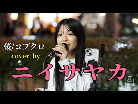 【路上ライブ】桜/コブクロ　cover by ニイサヤカ