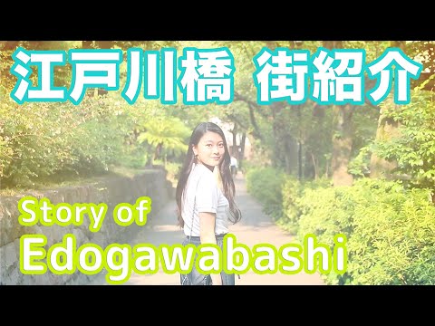 【街紹介】江戸川橋 〜Story of EDOGAWABASHI〜