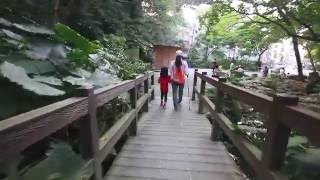 富陽生態自然公園-福州山公園(HD版)