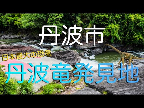 【兵庫県丹波市】日本最大の恐竜・丹波竜発見地を歩くピーター・パン症候群の男！ / Japan's Greatest Dinosaur "Tanba Ryu" in Tanba City, Hyogo.