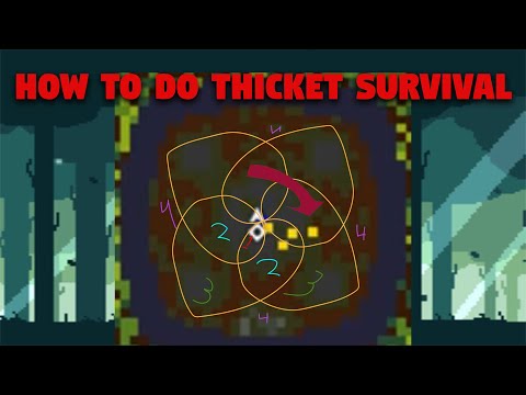 How To Survive Thicket Survival