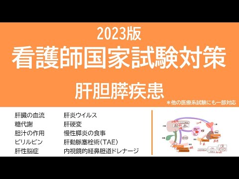 2023看護師国家試験対策・肝胆膵疾患