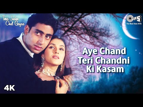 Aye Chand Teri Chandni Ki Kasam | Tera Jadoo Chal Gayaa | Abhishek Bachchan, Kirti Reddy