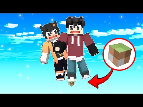 We're Stuck in ONE TINY BLOCK in Minecraft!