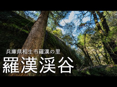 【兵庫県相生市】羅漢渓谷（羅漢の里）の巨大岩壁迷路を散歩！ | Rakan Ravine in Aioi City, Hyogo Prefecture Japan