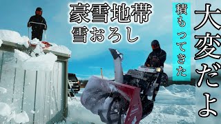 【雪おろし】物置の雪おろしと雪はね