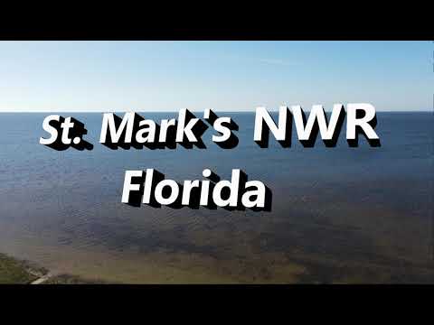 St Mark's Drone Footage by Erich Kirchubel