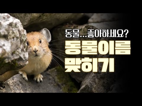 동물 이름 맞히기 [40문제] | 애들도 어른도 다좋아하는 동물퀴즈