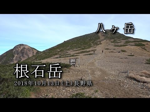 【八ヶ岳】根石岳 2018年10月13日