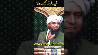 Engineer Muhammad Ali Mirza, About Shia