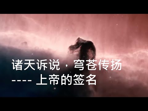 【上帝的签名】诸天诉说，穹苍传扬  - 王嵩 (信仰的花园)