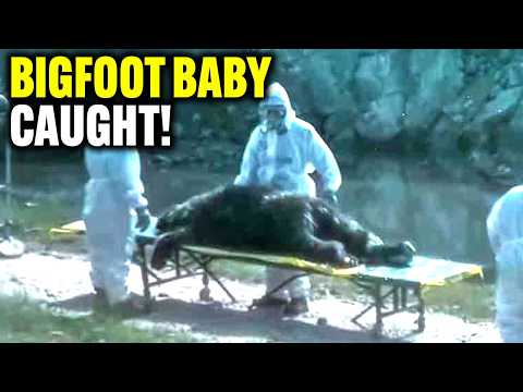 Top 10 SCARIEST Bigfoot Videos EVER 2024