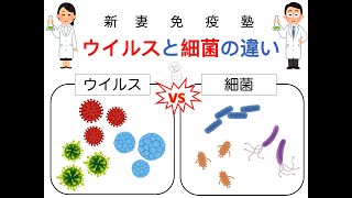 ⑯ウイルスと細菌の違い