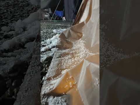 拉拉山追雪，下冰塊囉 #露營 #下雪了 #下雪