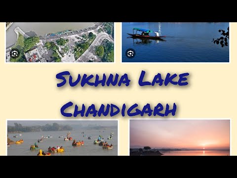 Sukhna Lake Chandigarh @tenchisatv944